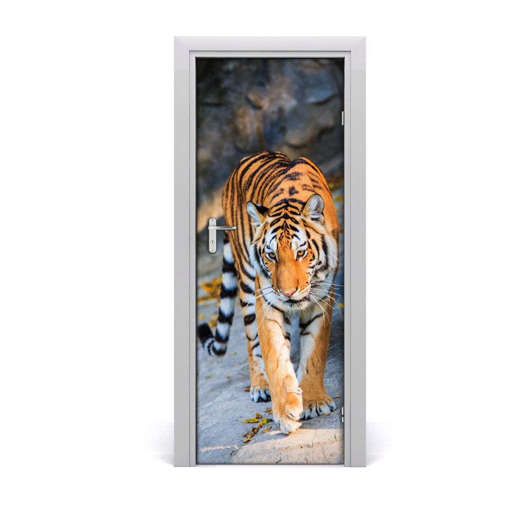 Samolepící tapeta na dveře Tigar