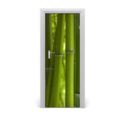 Tapeta na dveře Šuma bambusa