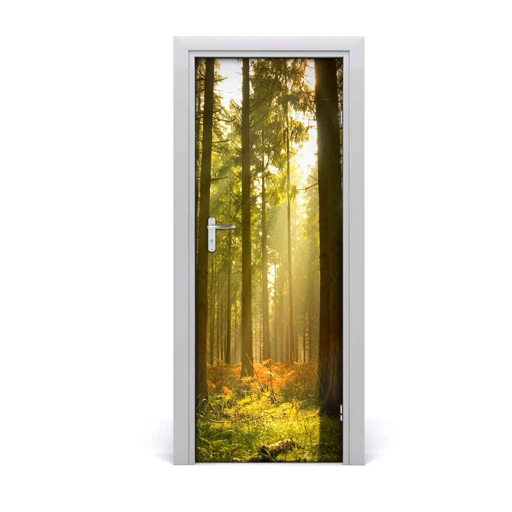Samolepící tapeta na dveře Sunce šumske vegetacije