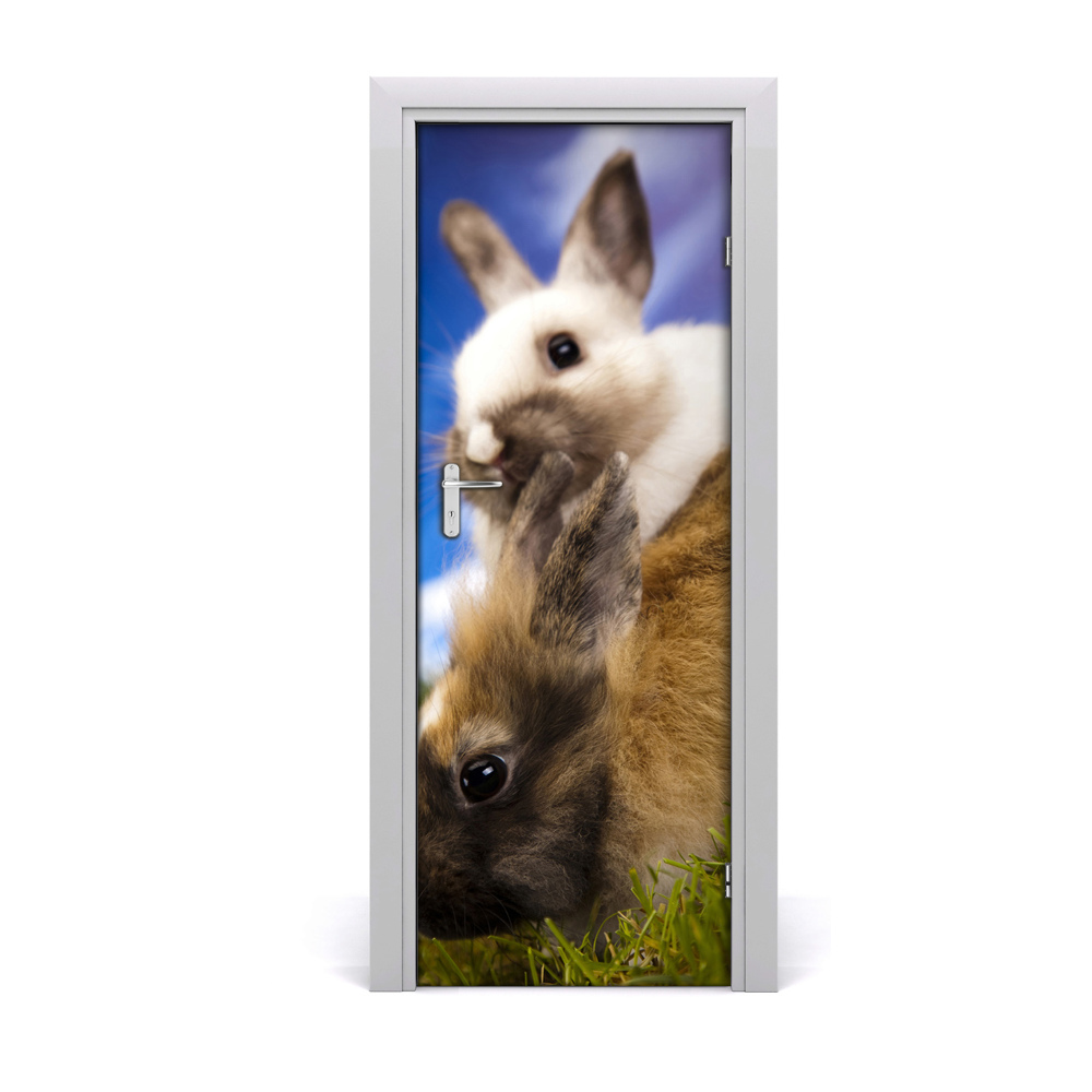 Samolepící fototapeta na dveře zečevi