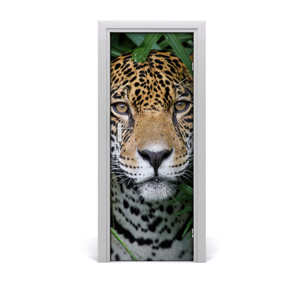 Fototapeta na dveře Jaguar u džungli