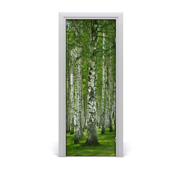 Samolepící fototapeta na dveře Mlada šuma breze