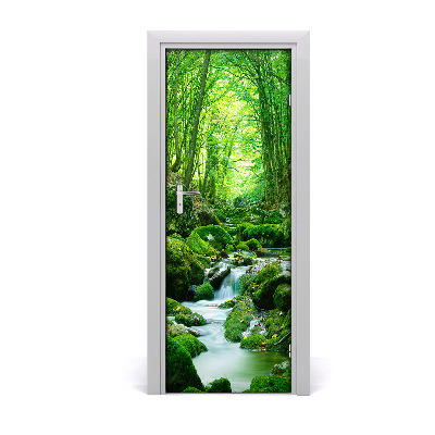 Fototapeta na dveře Potok u džungli kamenja