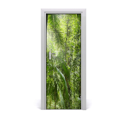 Tapeta na dveře Prašuma palmi