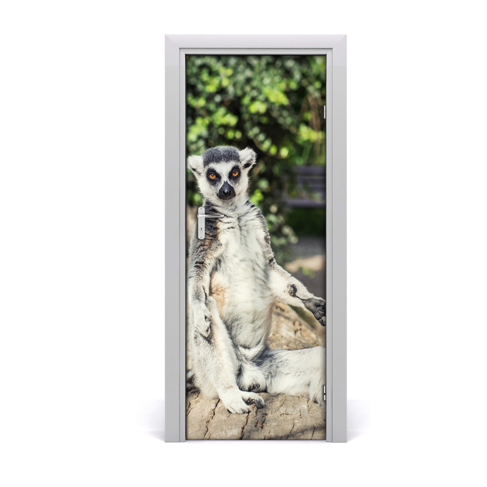 Samolepící tapeta na dveře Lemur
