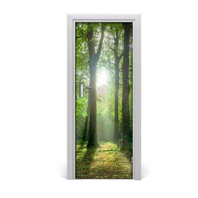 Obrazová tapeta na dveře Sunce u šumi