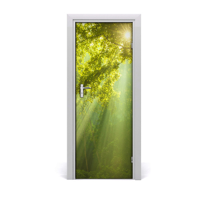 Tapeta na dveře Sunce u mladoj šumi