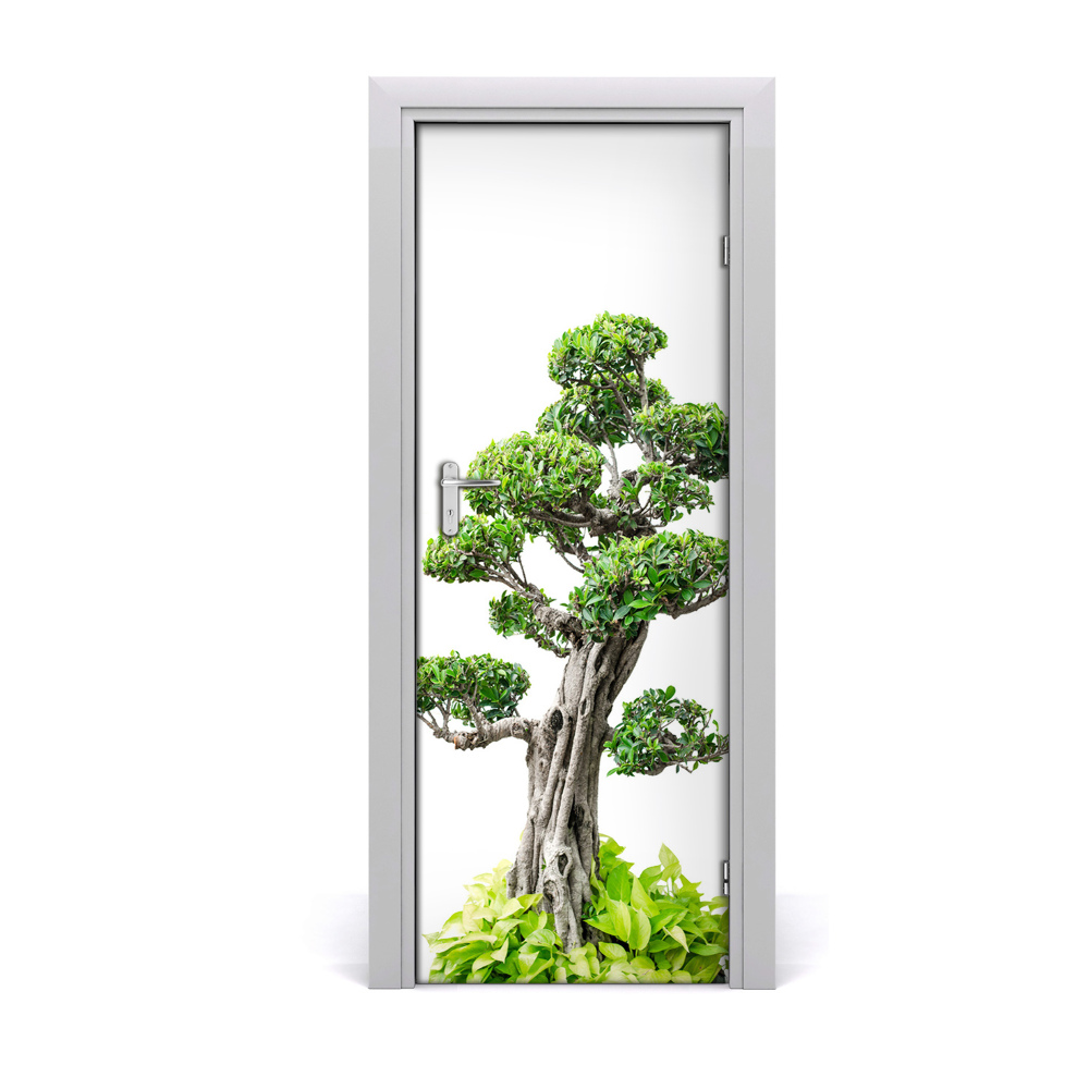 Samolepící fototapeta na dveře Bonsai drvo