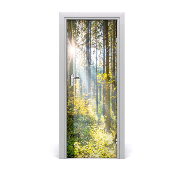 Samolepící tapeta na dveře Sunce među drvećem