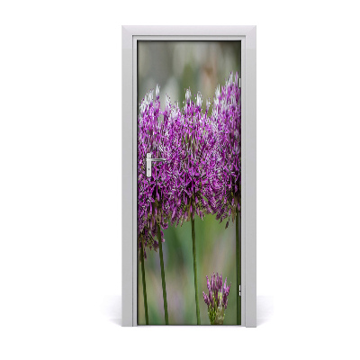 Samolepící fólie na dveře Cvjetovi češnjaka