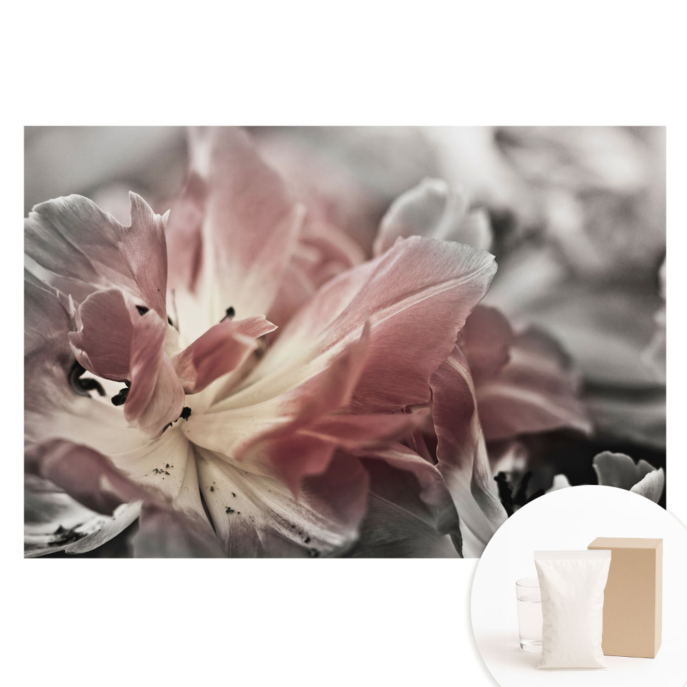 Fototapeta s potiskem na netkané textilii Detail jemných okvětních lístků