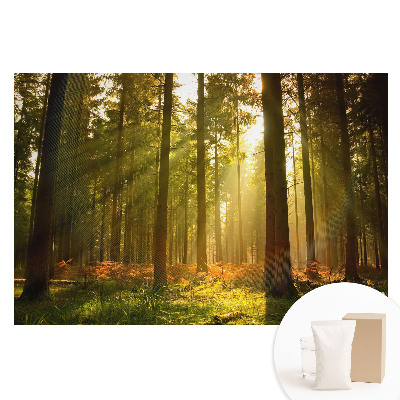 Netkaná tapeta s potiskem Slunečný les ráno