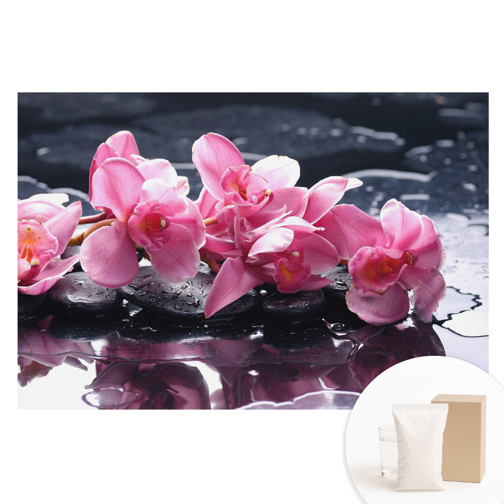 Velká fototapeta na zeď Růžové orchideje na kamenech