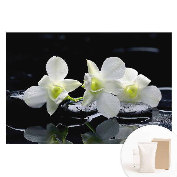 Fototapeta na netkané textilii Bílé orchideje na kamenech.