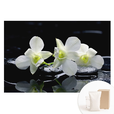 Fototapeta na netkané textilii Bílé orchideje na kamenech.