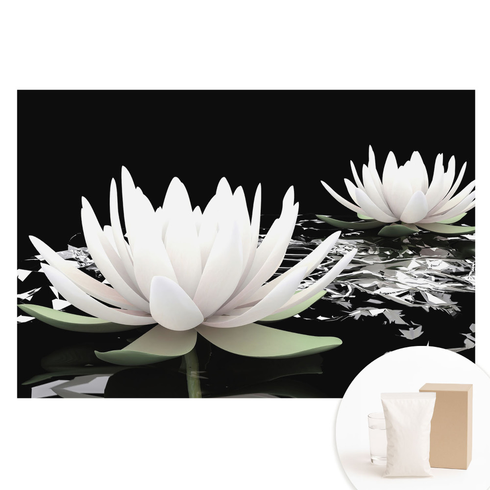 Netkaná fotografická tapeta Elegantní lekníny na tmavém pozadí