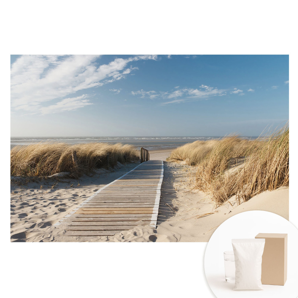 Netkaná tapeta s potiskem Přímořská cesta mezi dunami