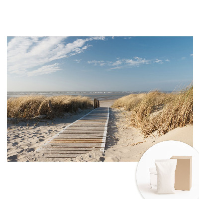 Netkaná tapeta s potiskem Přímořská cesta mezi dunami