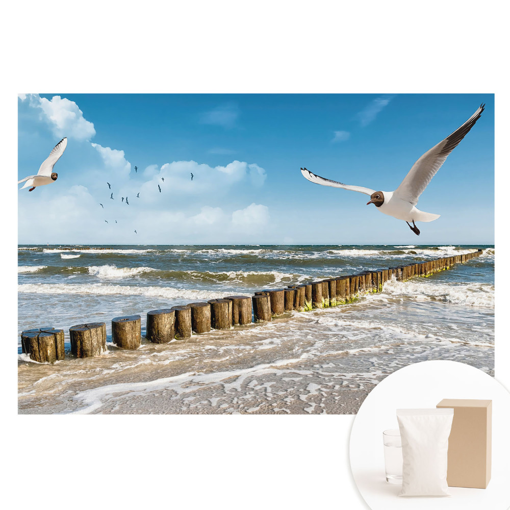 Velká fototapeta na zeď Rackové nad mořem