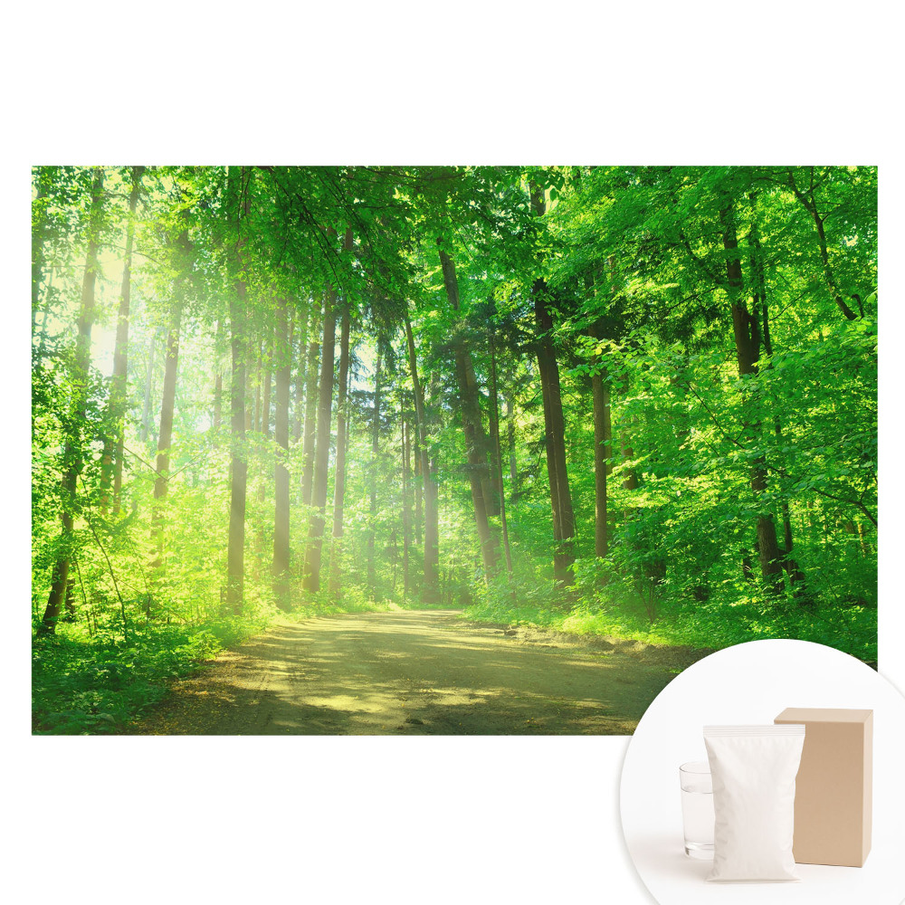 Fototapeta s potiskem na netkané textilii Zelený lesní slunce a mír