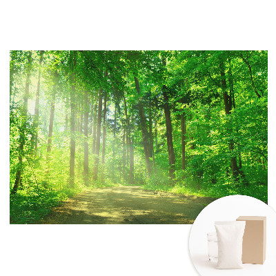 Fototapeta s potiskem na netkané textilii Zelený lesní slunce a mír