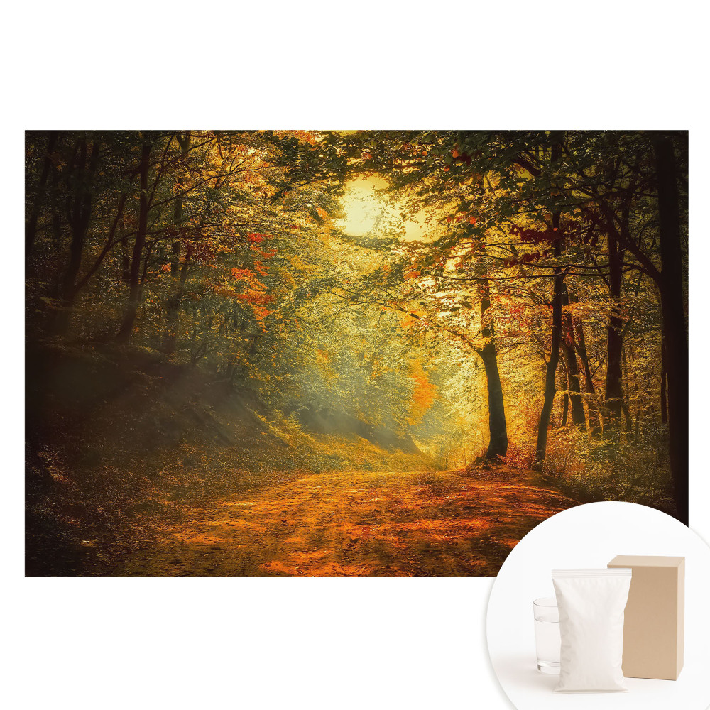 Netkaná tapeta Kouzlo podzimního lesa