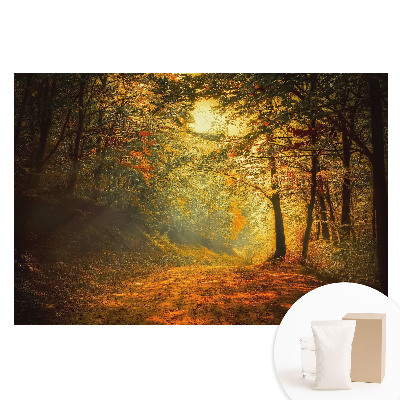 Netkaná tapeta Kouzlo podzimního lesa