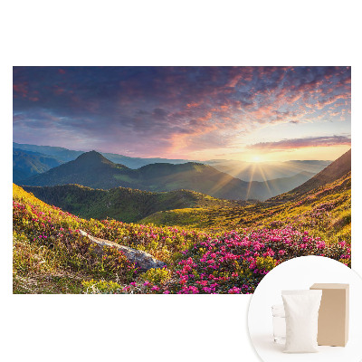 Fotografická tapeta na netkané textilii Horská krajina zalitá sluncem