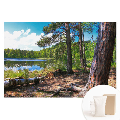 Netkaná fotografická tapeta Lesní krajina u jezera, přírodní klid
