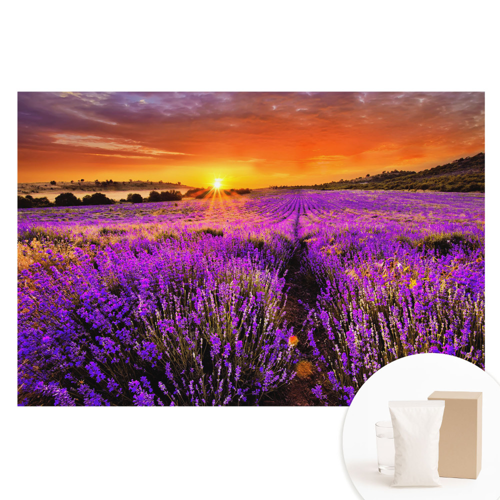 Fototapeta na netkané textilii Západ slunce na levandulových polích