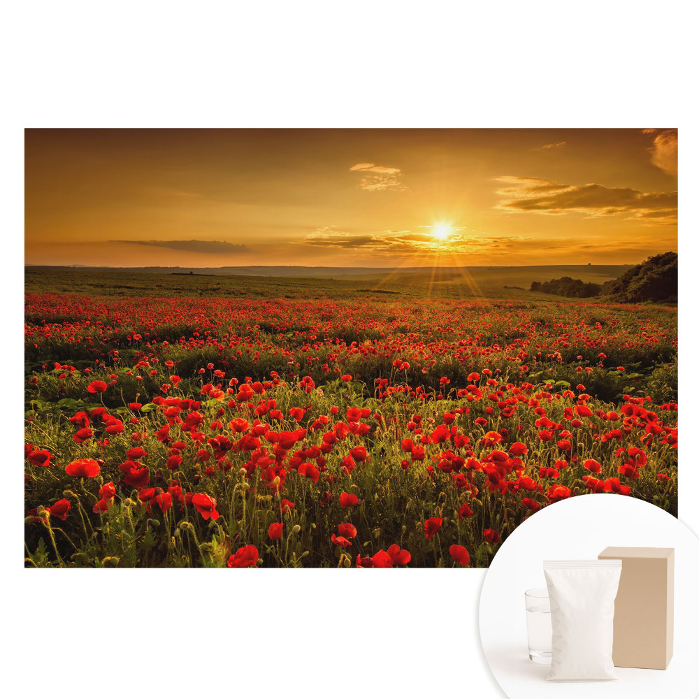 Fotografická tapeta na netkané textilii Západ slunce v poli makových květů