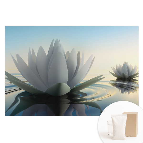 Fototapeta na netkané textilii Jemné lekníny, vodní harmonie