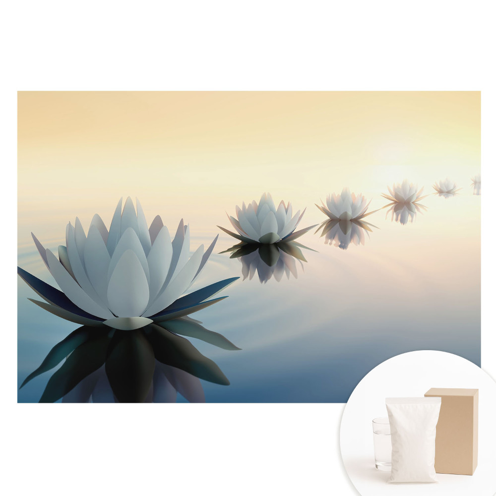 Netkaná fotografická tapeta Lotosy na vodě