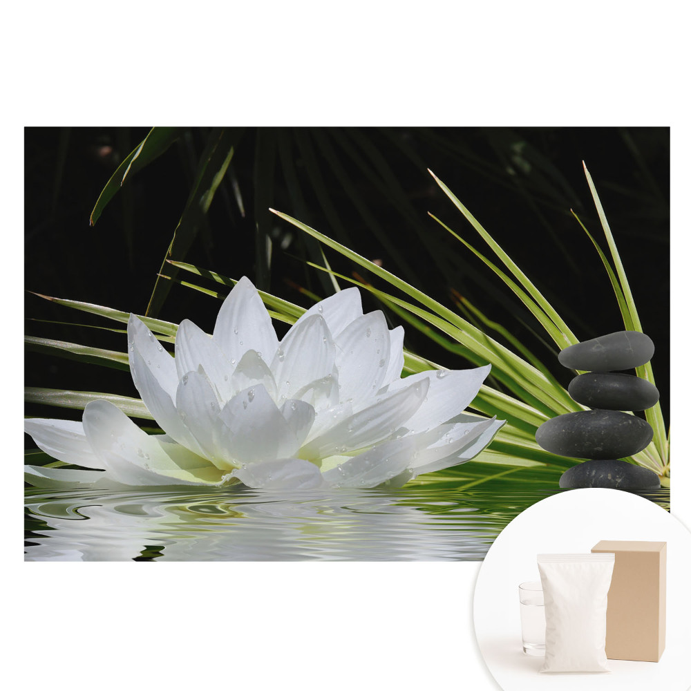 Velká fototapeta na zeď Meditace s bílými liliemi a kameny