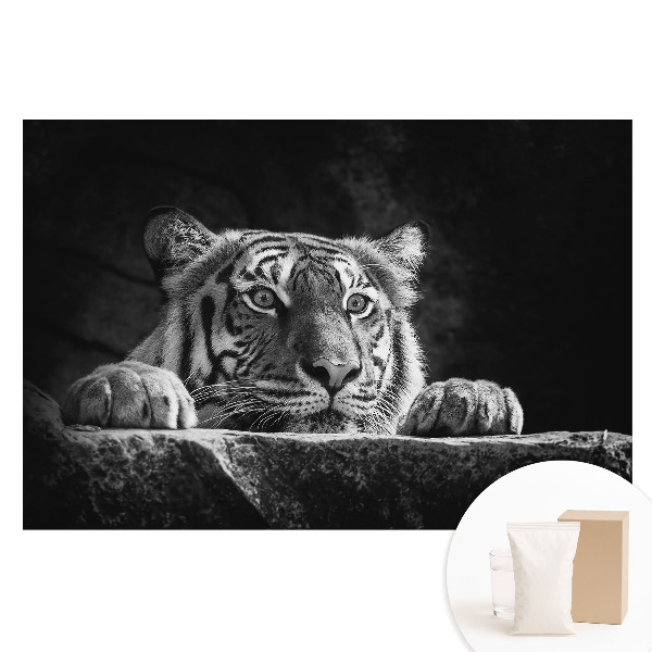 Fototapeta na netkané textilii Tygr v černé a bílé