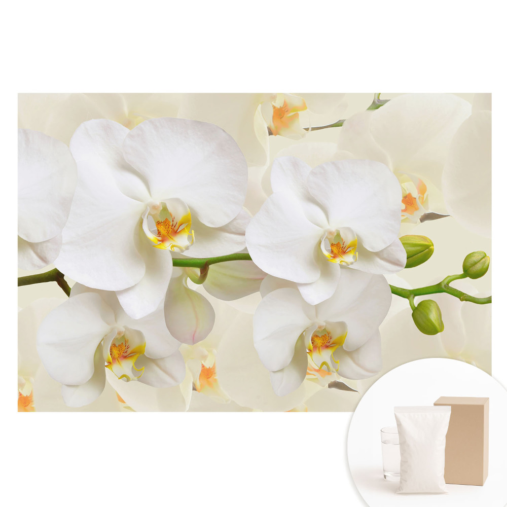 Netkaná tapeta Bílé orchideje