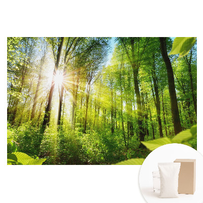 Fototapeta na netkané textilii Energie slunečního světla v lesní krajině.