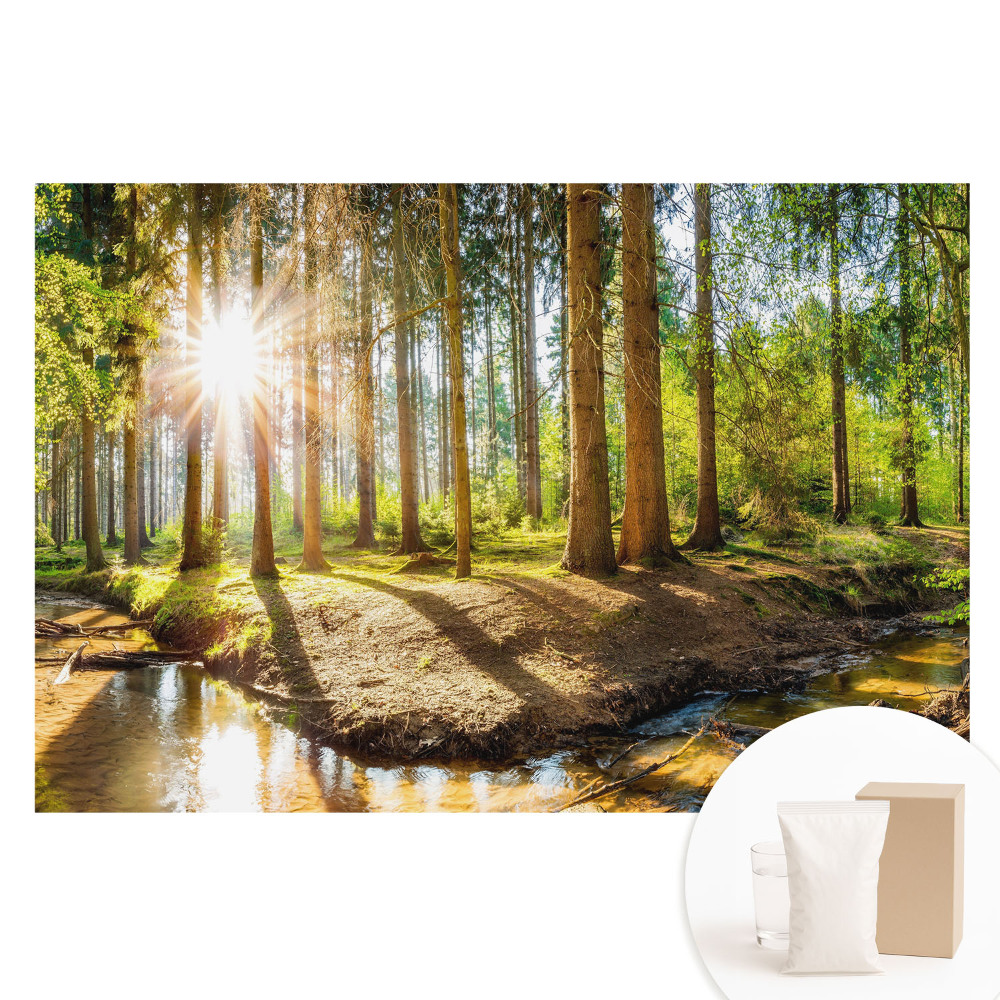Fototapeta s potiskem na netkané textilii Zářivé slunce v lesní krajině