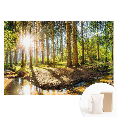 Fototapeta s potiskem na netkané textilii Zářivé slunce v lesní krajině
