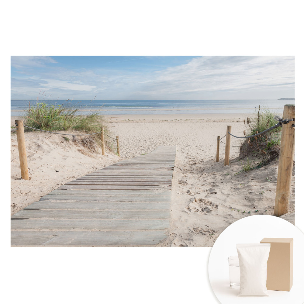 Netkaná tapeta s potiskem Vchod na pláž mezi dunami