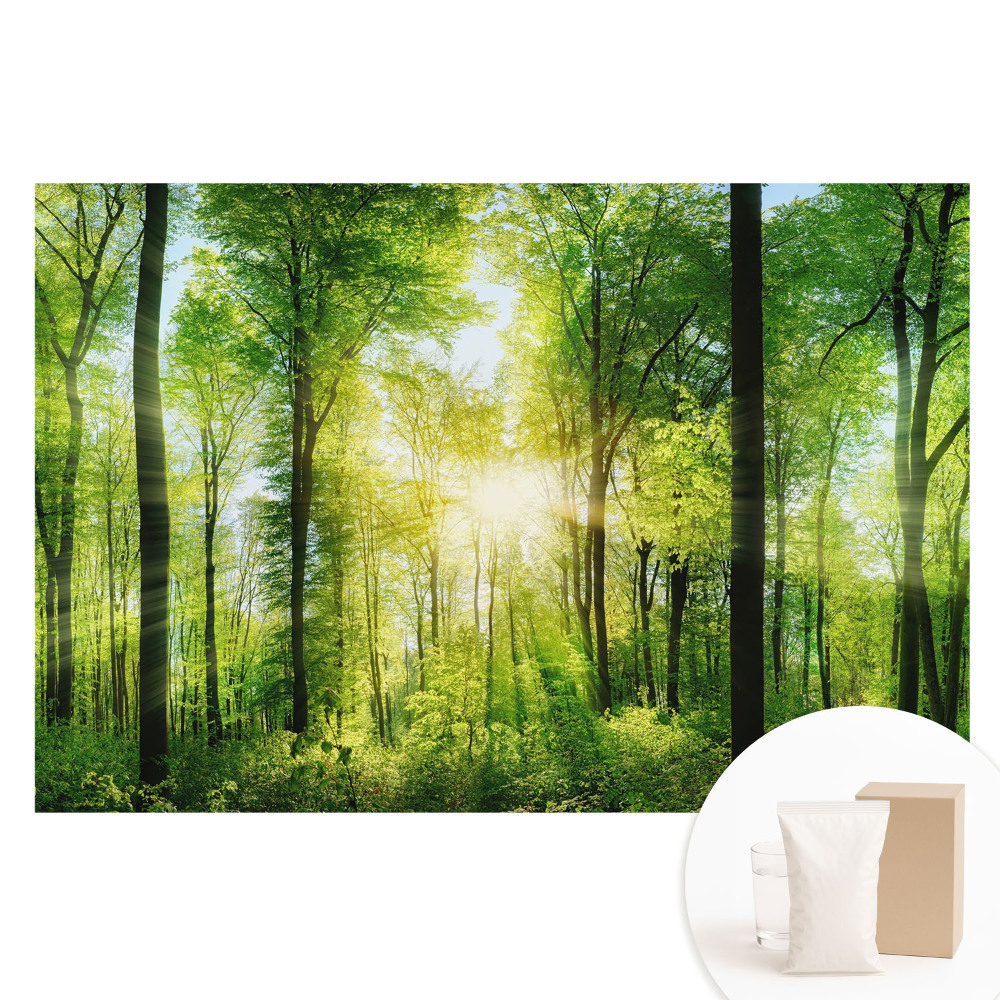 Netkaná tapeta Zelený les v paprscích slunce