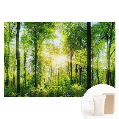 Netkaná tapeta Zelený les v paprscích slunce