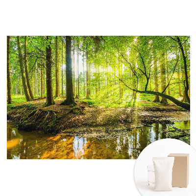 Fototapeta s potiskem na netkané textilii Lesní klid, světlo, potok