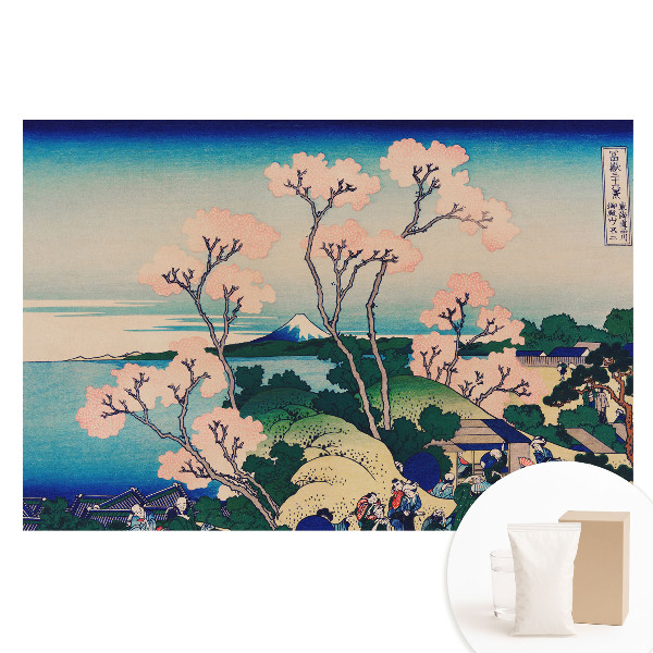 Netkaná fotografická tapeta Japonské jarní kouzlo krajiny