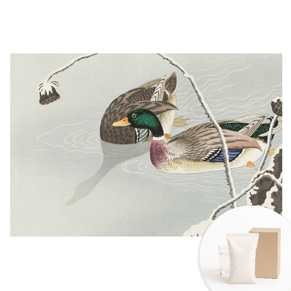 Fototapeta na netkané textilii Dvě kachny na vodě v klasickém stylu