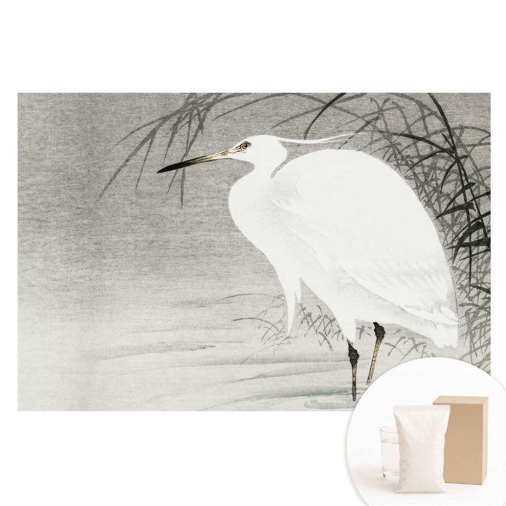 Fototapeta na netkané textilii Volavka na pozadí rákosí