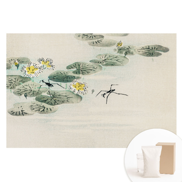 Netkaná fotografická tapeta Lekníny na vodním pozadí