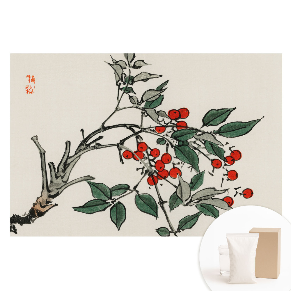 Velká fototapeta na zeď Tradiční rostlinný motiv míru