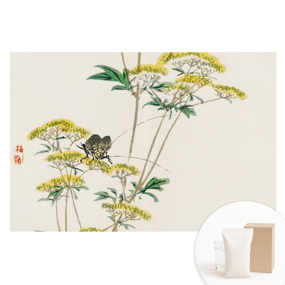 Netkaná tapeta s potiskem Jemné květiny hmyz harmonie příroda