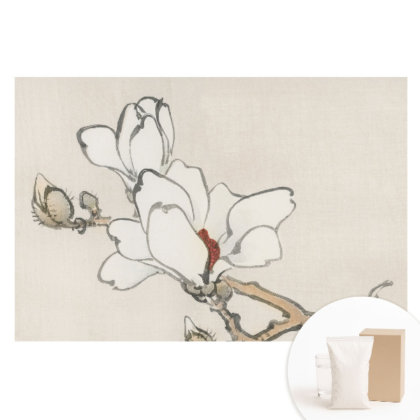 Netkaná tapeta Klasické magnólie v inkoustu